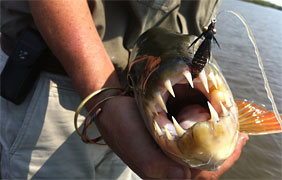Fishing
