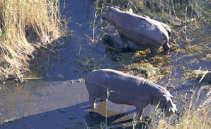 Guma Lagoon